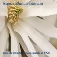 Banda Blanca Esencia